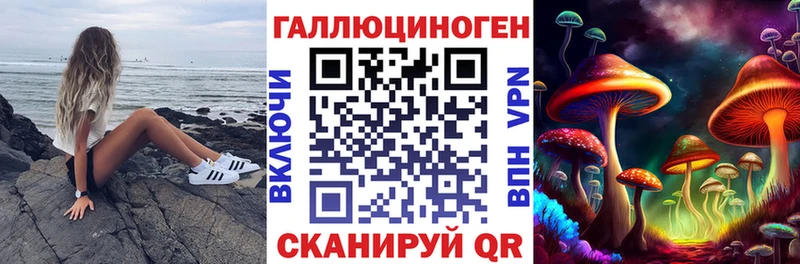 Псилоцибиновые грибы GOLDEN TEACHER  Купить где  Астрахань 